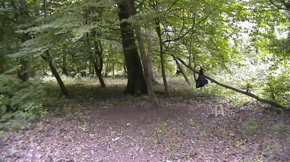BLOG NUMBER EIGHT = 8 = ARMY UFC TRAINER.COM . MARTIAL ARTS TRAINING .